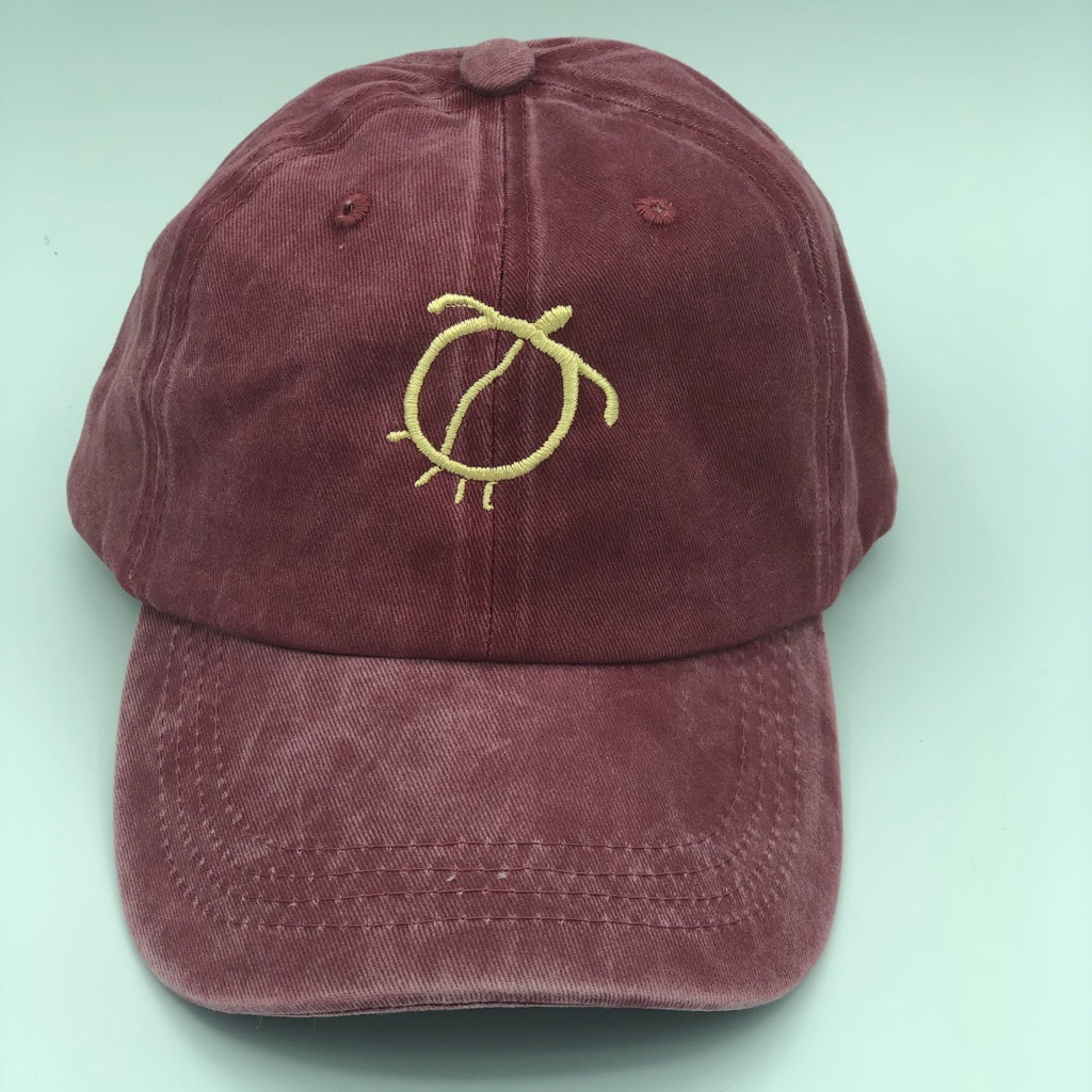 Turtle Baseball Hat
